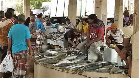 تسعيرة بيع الأسماك في العاصمة عدن