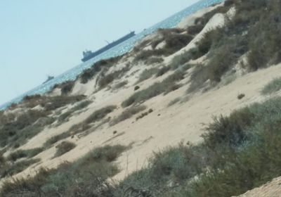 الشرعية الإخوانية تبيع 950 ألف برميل من نفط الجنوب