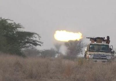 "المشتركة" توجه ضربات لتجمعات حوثية بحيس والتحيتا