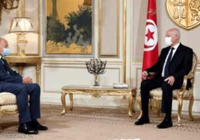 أبو الغيط: الرئيس التونسي يدرك ماهية فلسفة الحكم