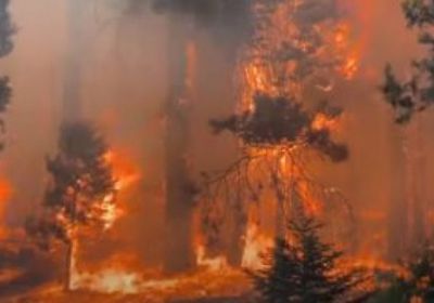 وزير الداخلية النمساوي يعرب عن قلقه بشأن حرائق الغابات