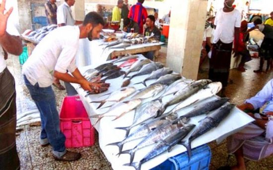 انخفاض أسعار الأسماك في عدن