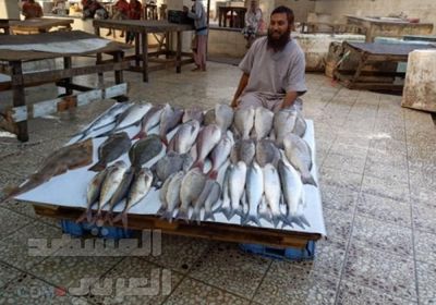 استقرار أسعار الأسماك في عدن