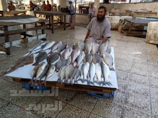 استقرار أسعار الأسماك في عدن
