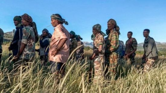 قوات تيجراي تسيطر على بلدة تؤدي إلى أديس أبابا