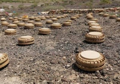 فرق "مسام" تنزع 6036 لغمًا خلال الشهر الجاري