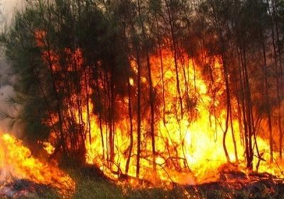 بمساعدات دولية.. النمسا تواجه أكبر حرائق غابات