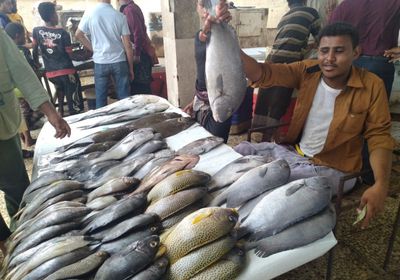 تسعيرة جديدة للأسماك في عدن