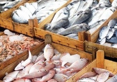 قائمة أسعار جديدة للأسماك بأسواق عدن