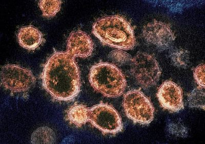 تسجيل 6 وفيات و8 إصابات بكورونا