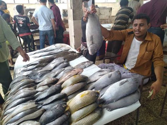 ارتفاع أسعار بيع الأسماك في عدن
