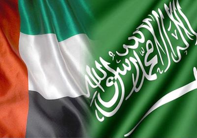 الهدلاء: الإمارات والسعودية ترممان العلاقات العربية