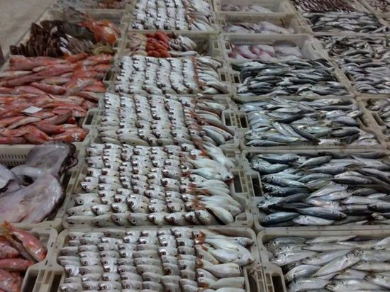 قائمة جديدة بأسعار بيع الأسماك في عدن