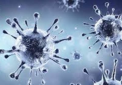 13 وفاة وإصابة جديدة بفيروس كورونا