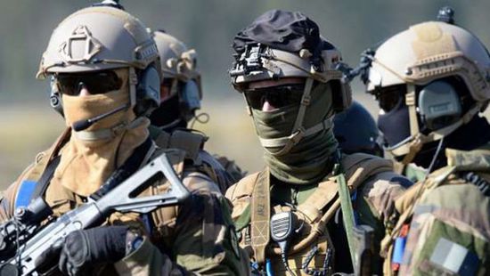 فرنسا تعلن تحييد 20 إرهابيًا في النيجر