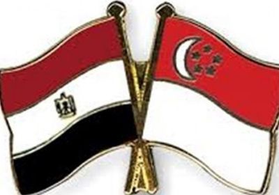 مصر وسنغافورة تبحثان فرص التعاون المستقبلية بين البلدين
