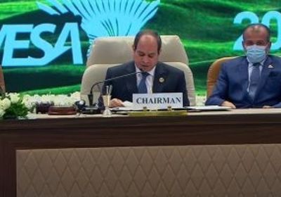 السيسي: أصبح لزاما علينا تطبيق اتفاقية التجارة الحرة بين دول الكوميسا