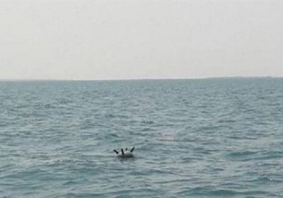 التحالف العربي: الحوثي ينشر 11 لغمًا بحريًا عشوائيًا