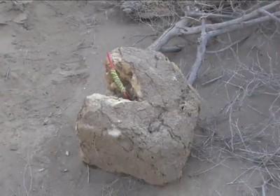 تفكيك ألغام وعبوات ناسفة حوثية في حيس (فيديو)