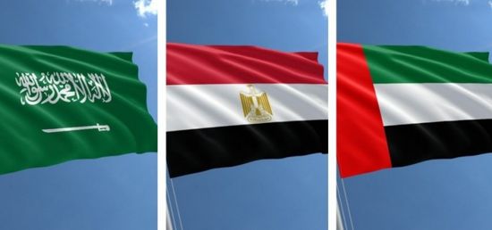 هويدي: إنجازات الإمارات والسعودية ومصر فخر للعرب