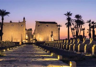 سفير الصومال لدى مصر يشيد بحفل افتتاح طريق الكباش بالأقصر