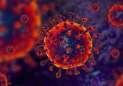 شفاء 22 حالة من فيروس كورونا