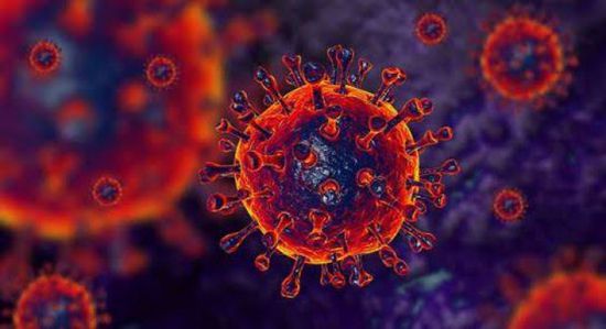 شفاء 22 حالة من فيروس كورونا