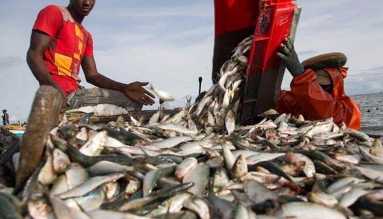  4 دول أفريقية توقع اتفاقًا مع منظمات دولية لإدارة مصايد الأسماك