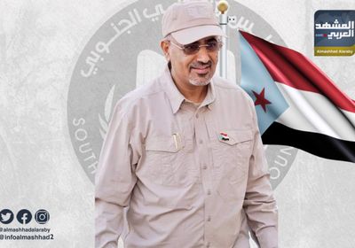 رئيس الانتقالي: سياسة العقاب الجماعي تمهد لثورة مشروعة