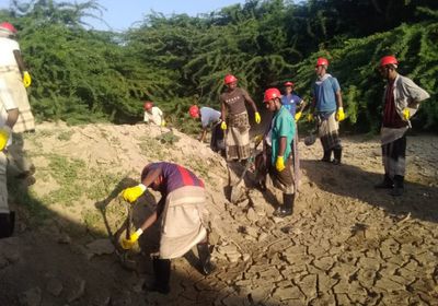 بمشاركة 121 عاملًا.. تصفية قنوات الري في أحور