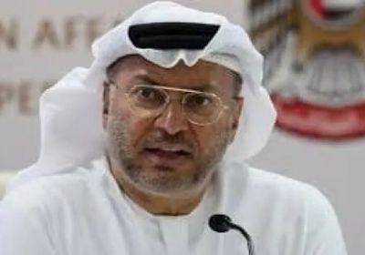 قرقاش: الإمارات سطرت قصة طموح ملهمة في 50 عاما