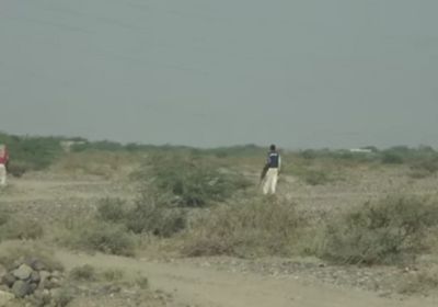 تفكيك 40 لغما حوثيا في مزارع بحيس