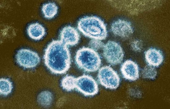 شفاء حالتين من "كورونا" ووفاة مصاب