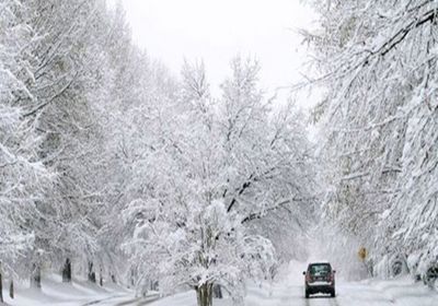 إصابة 9 أشخاص جراء عاصفة ثلجية في النمسا