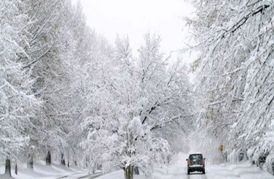 إصابة 9 أشخاص جراء عاصفة ثلجية في النمسا