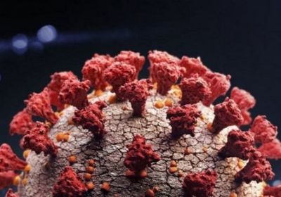 "لجنة كورونا": 5 وفيات و9 إصابات جديدة