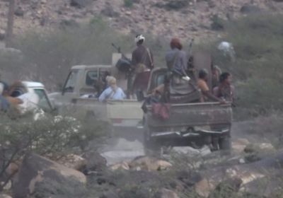 خسائر حوثية في الجراحي وجبل رأس بالحديدة