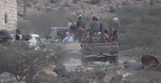 خسائر حوثية في الجراحي وجبل رأس بالحديدة