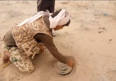 تواصل أعمال تطهير حيس من ألغام الحوثي (فيديو)