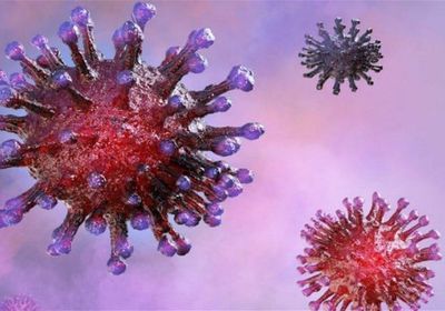 4 ضحايا لـ "كورونا" في ساعات.. و5 متعافين