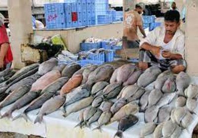 أسعار الأسماك الرسمية اليوم الثلاثاء في عدن
