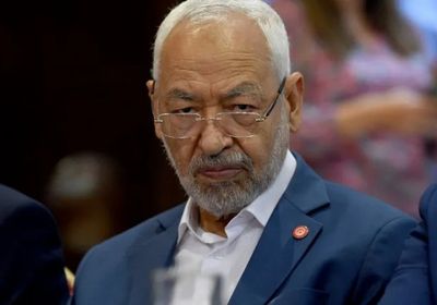 هويدي: إخوان تونس غدة سرطانية تستوجب الاستئصال