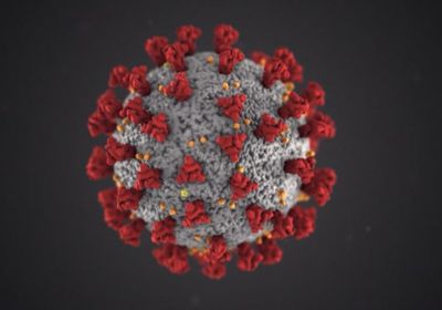 وفاة وإصابة 7 ضحايا بفيروس كورونا