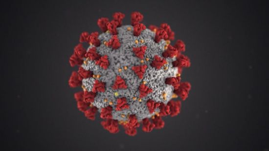 وفاة وإصابة 7 ضحايا بفيروس كورونا