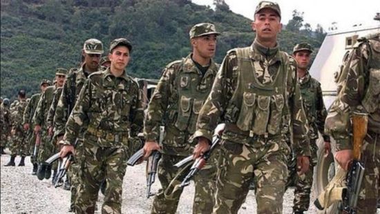 الجزائر: القبض على 9 عناصر داعمة للجماعات الإرهابية