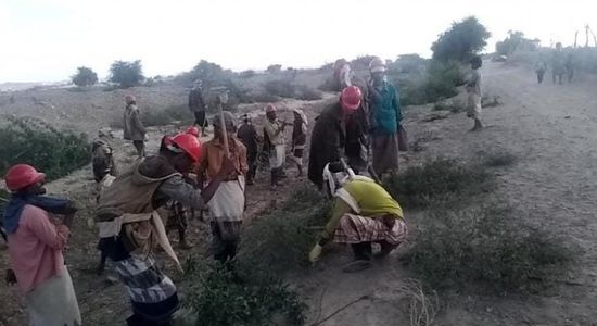 اليابان تمول مشروع تنقية قنوات الري في أحور