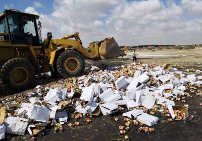 إتلاف حاوية من الفاصوليا الفاسدة في ميناء عدن