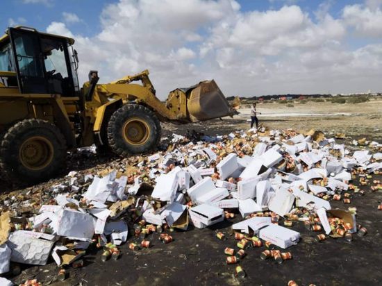 إتلاف حاوية من الفاصوليا الفاسدة في ميناء عدن