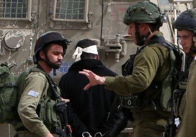 فلسطين: الاحتلال يعتقل 7 فلسطينيين من جنين