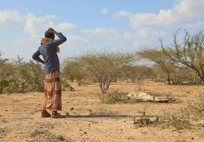 الصومال: الجفاف يضرب إقليم هيران ومناطق أخرى